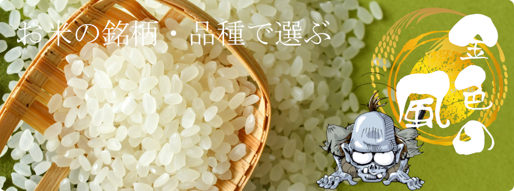 金色の風通販