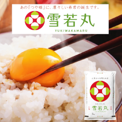 ハーベストシーズン